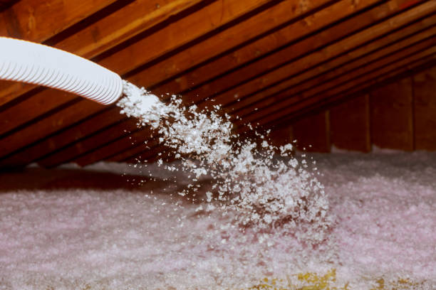 Best Best Insulation Companies  in Garden City South, NY