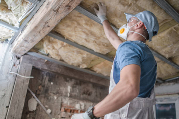Best Cellulose Insulation  in Garden City South, NY