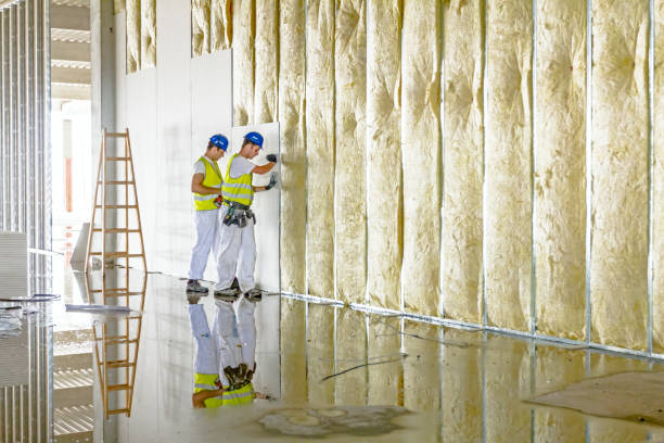 Insulation Repair Services in Garden City South, NY